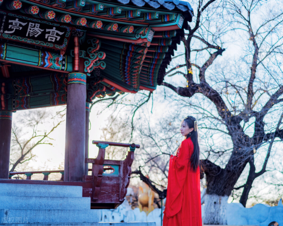 你处理问题的能力暴露了你的格局,自我觉悟太高