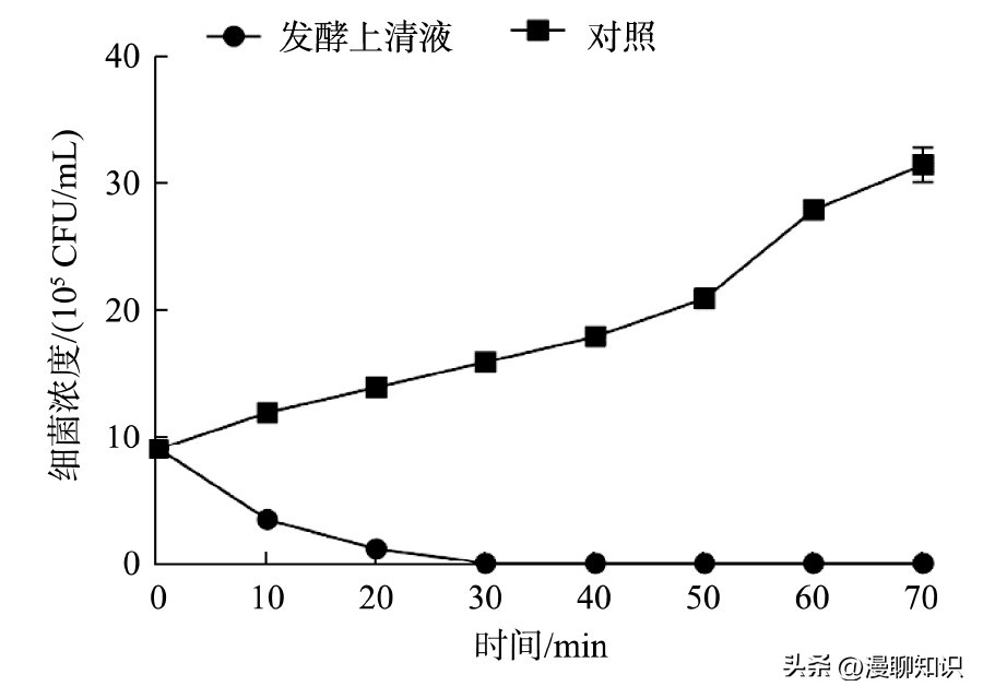 抑制幽门螺旋杆菌的乳酸菌,抑制幽门螺杆菌的乳酸菌