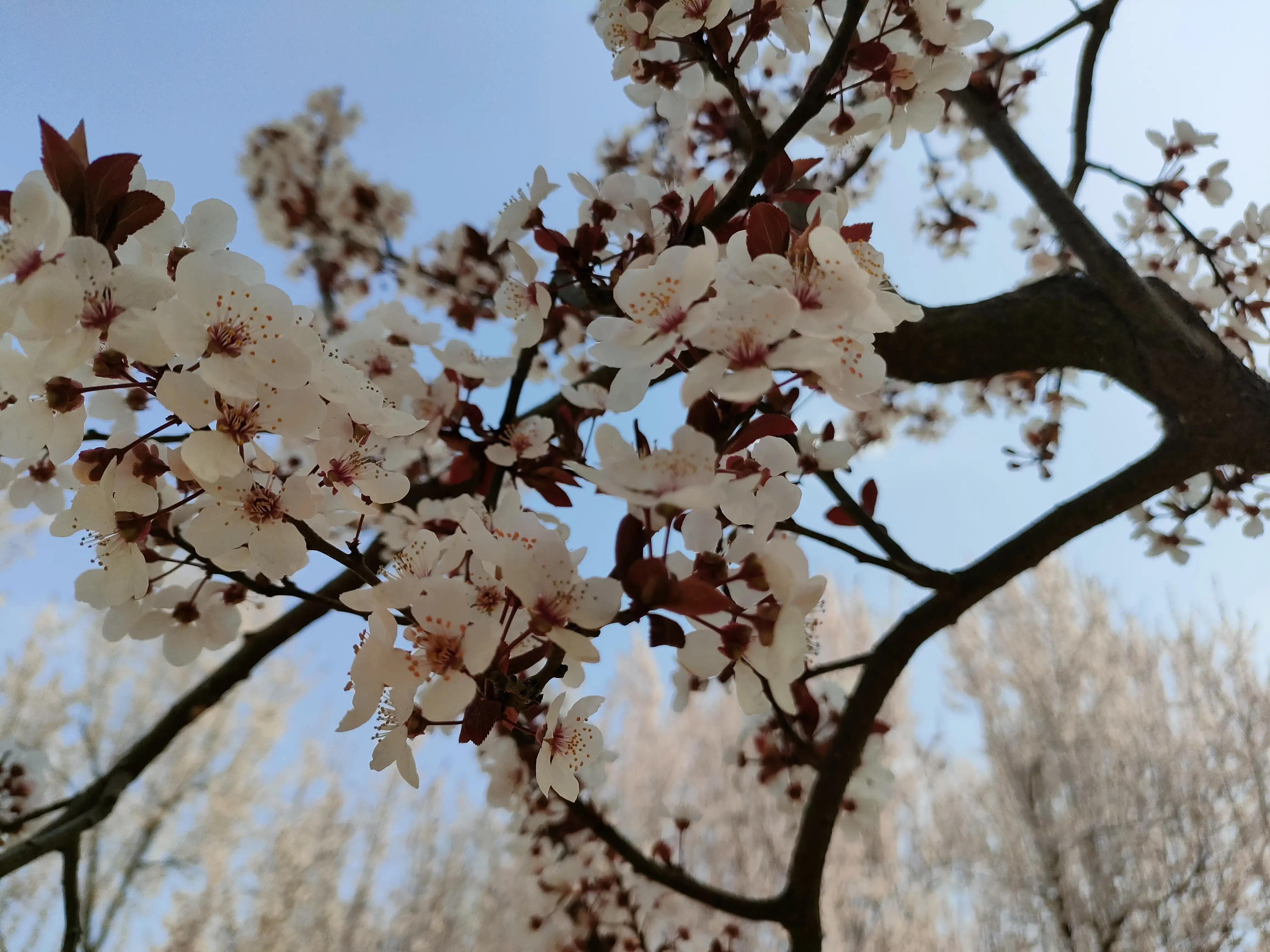 美好的孤独时光,美好的孤独