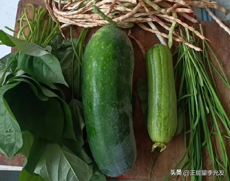 天下“老玩童”丨家庭菜园丰收乐