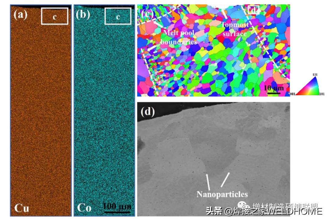 昆西兰大学+西工大丨激光增材制造高强度异质结构铜合金
