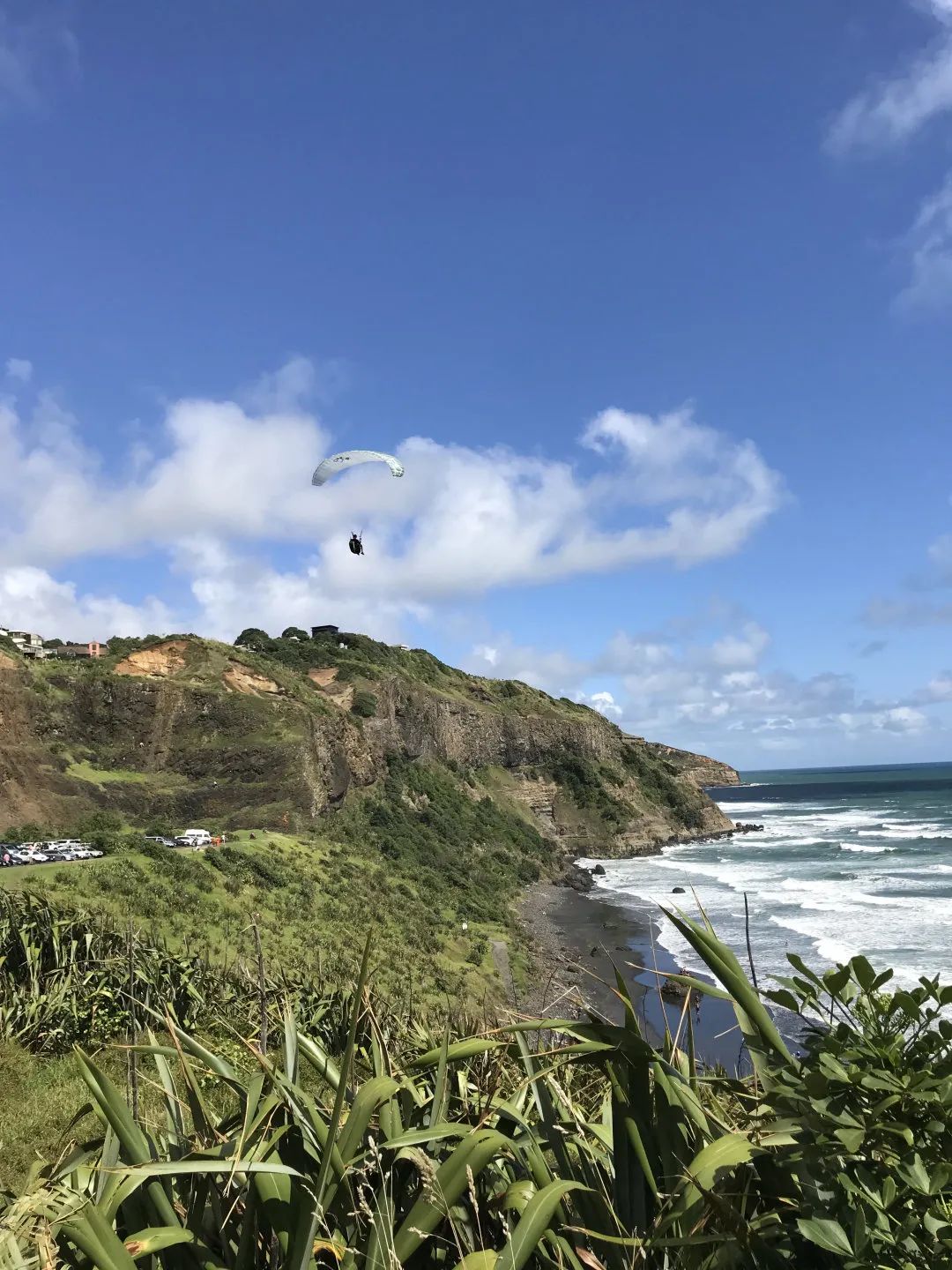 写给不被疫情束缚的心:用文字“云”游新西兰全境