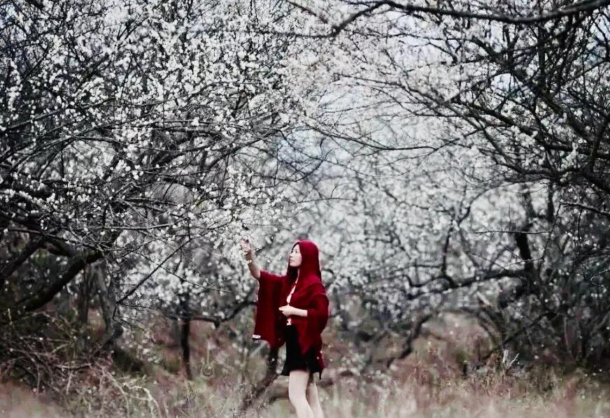 梁化梅园风景区,梁化梅园图片