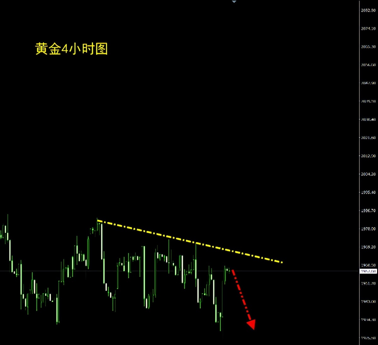 金荣老师的短视频,金荣老师直播视频