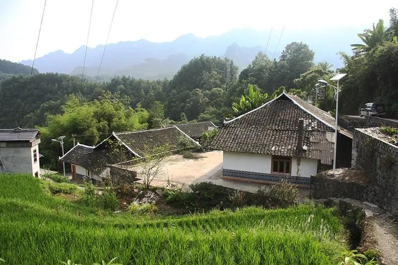 女子抛夫弃子私奔后果,女子抛夫弃子与年轻男子同居