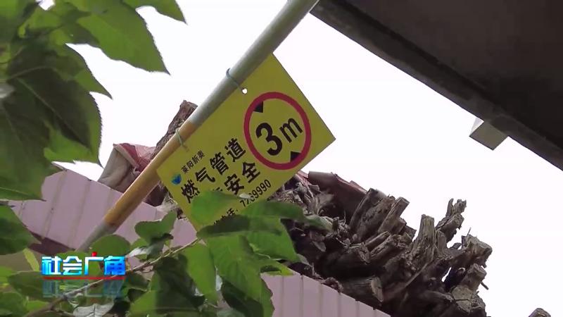 天然气难通原因,天然气一直不通如何投诉