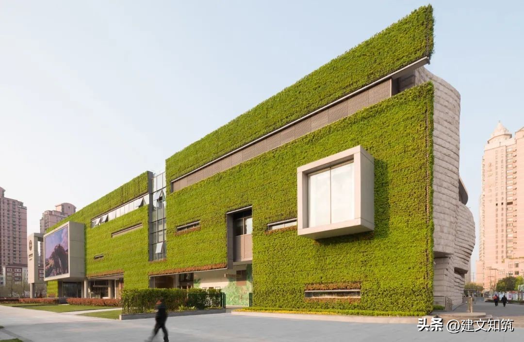 上海自然博物馆建筑设计,上海自然博物馆的设计构思