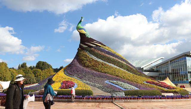 <html>
<head><title>502BadGateway</title></head>
<body>
<center><h1>502BadGateway</h1></center>
<hr><center>nginx</center>
</body>
</html>
<!--apaddingtodisableMSIEandChromefriendlyerrorpage-->
<!--apaddingtodisableMSIEandChromefriendlyerrorpage-->
<!--apaddingtodisableMSIEandChromefriendlyerrorpage-->
<!--apaddingtodisableMSIEandChromefriendlyerrorpage-->
<!--apaddingtodisableMSIEandChromefriendlyerrorpage-->
<!--apaddingtodisableMSIEandChromefriendlyerrorpage-->
