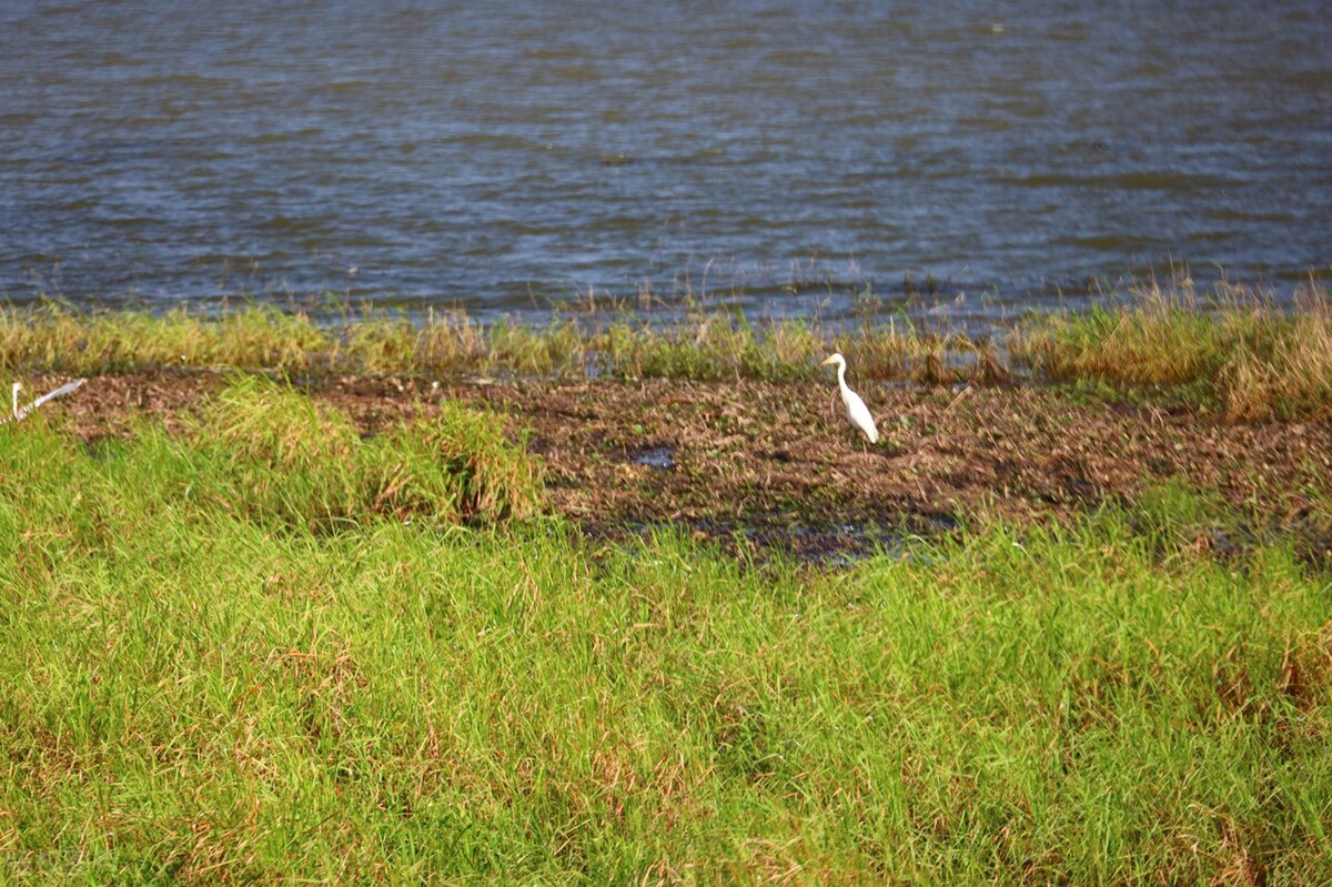 江西省四大古镇,江西六大古镇哪里最好
