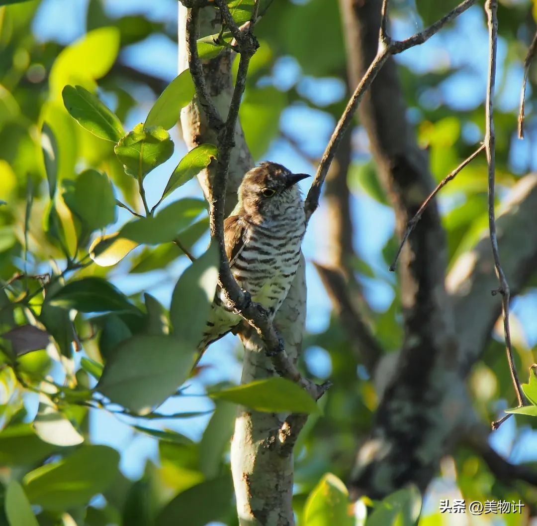 谷雨拥抱最后的一抹春色,谷雨阅尽春色万象更新