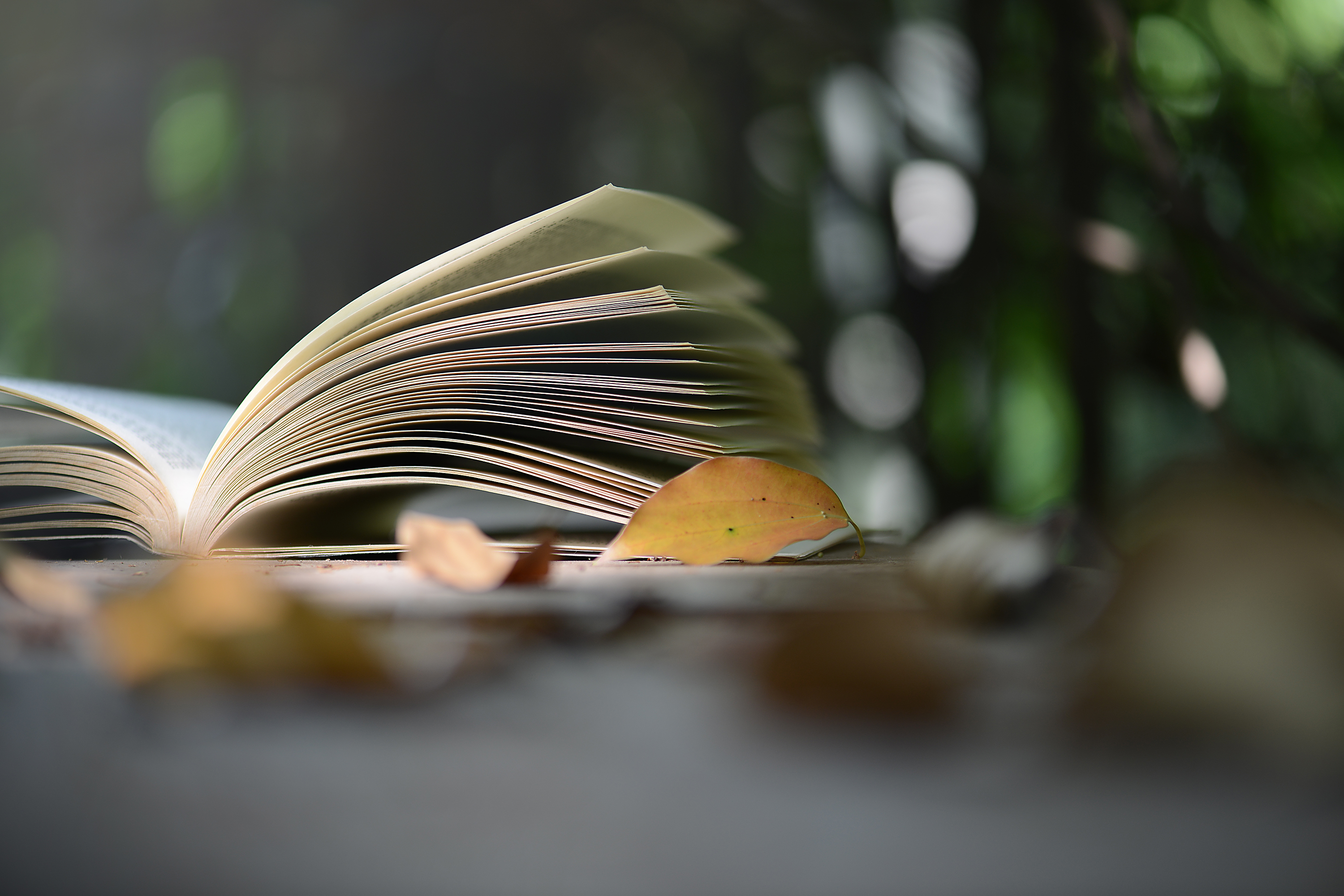 个体对工作时间的倾情投入，弱化了他们与子女之间的紧密联系