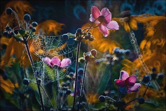 100幅经典摄影作品欣赏,100幅精品摄影图