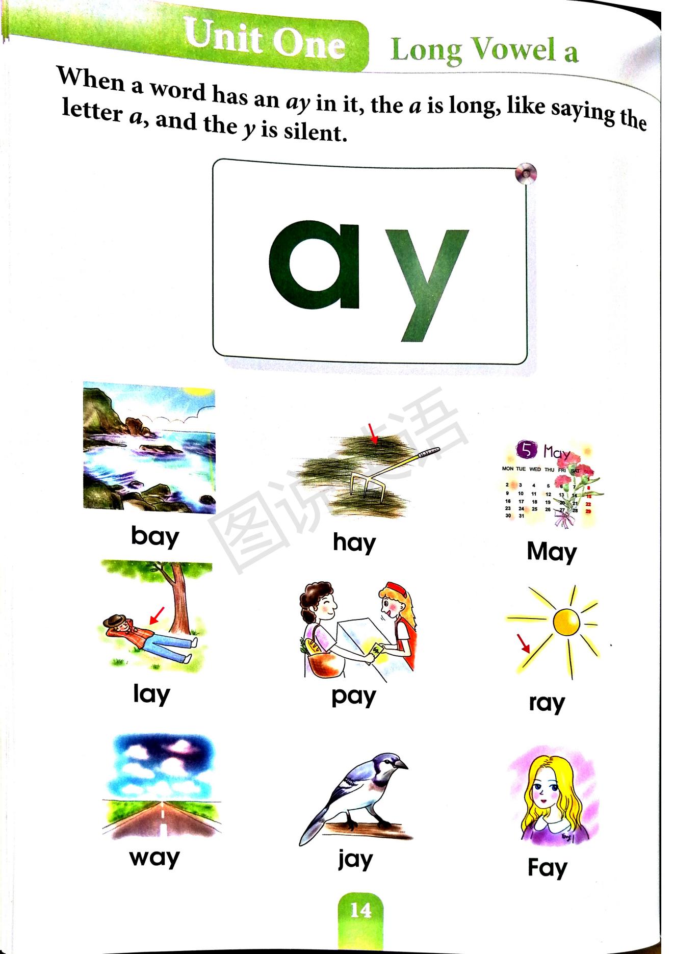 一口背,一口学会国际音标