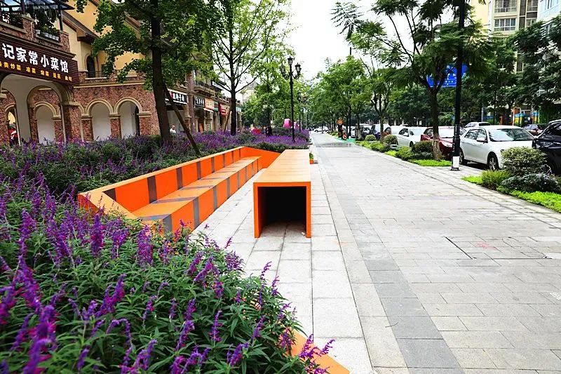 新津最繁华商业街,新津最美街道