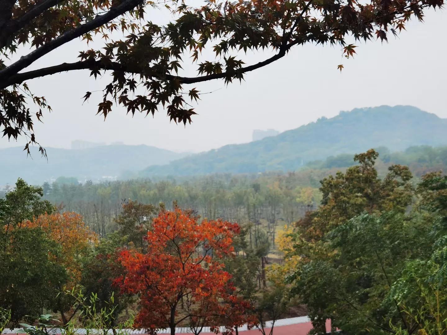 射乌山登山南京,南京射乌山