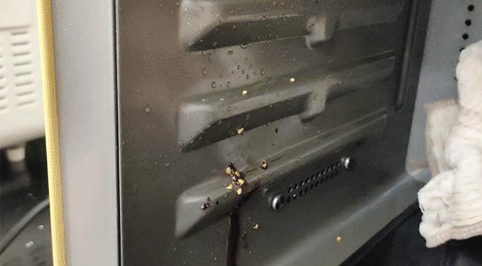 台式的微蒸烤炸一体机如何选,蒸烤炸一体机测评台式