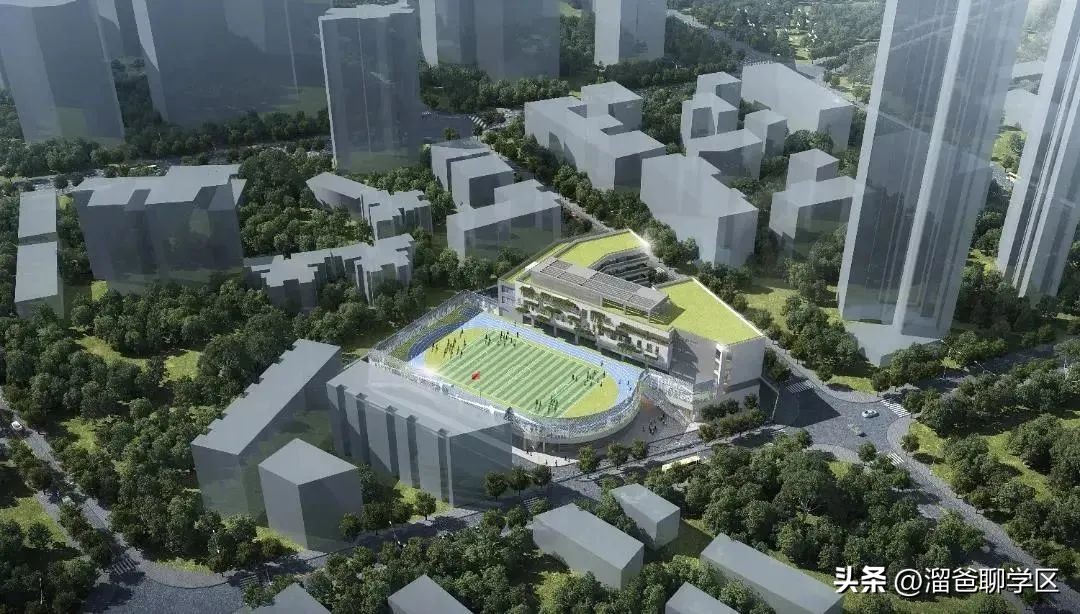 名校名企联手打造区域教育新高地,打造比肩东西海的教育强区