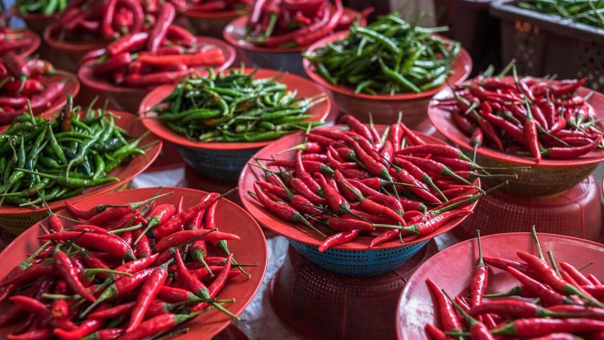 为什么有钱人扎堆种辣椒？辣椒中“茅台”，今年刚上市300元一斤