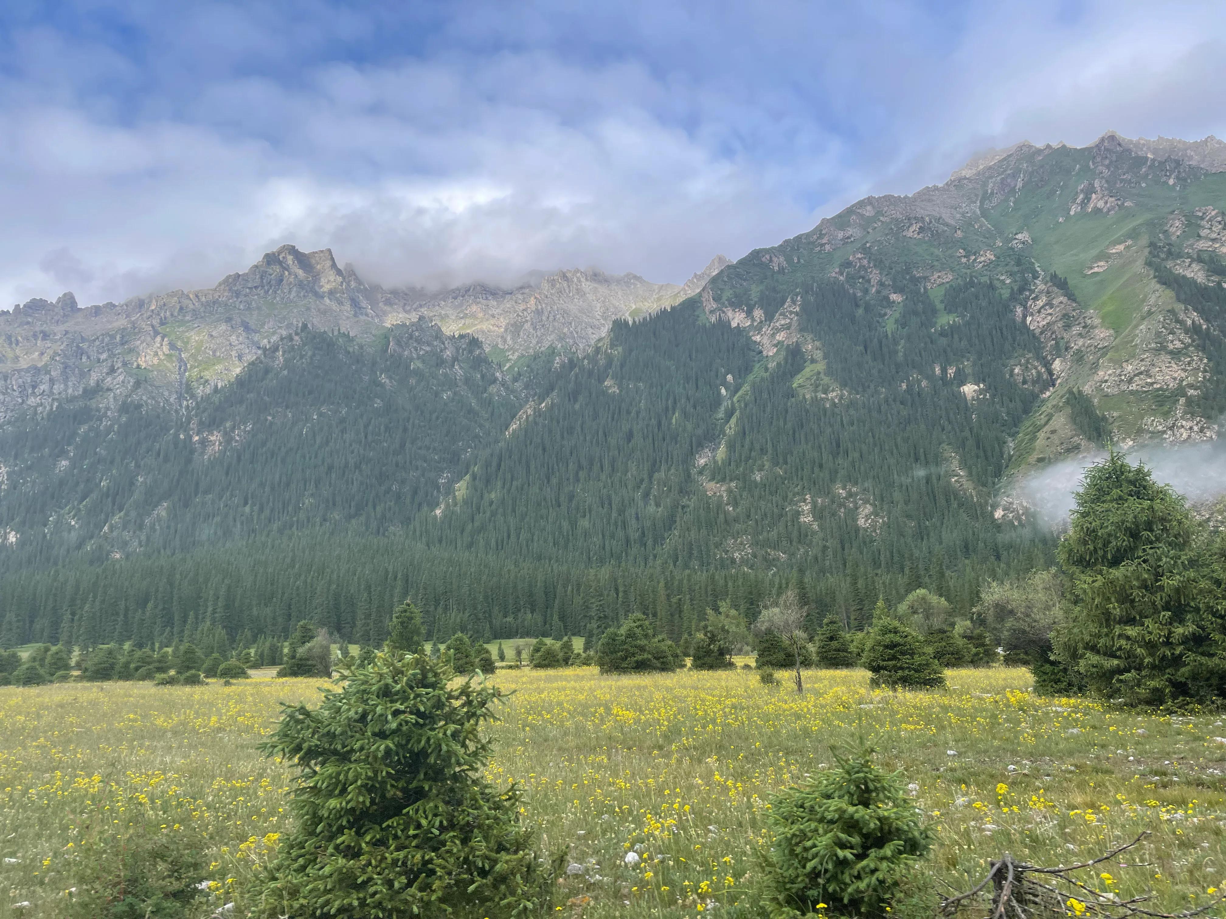 伊犁徒步穿越古道,伊犁昭苏县夏塔古道图片