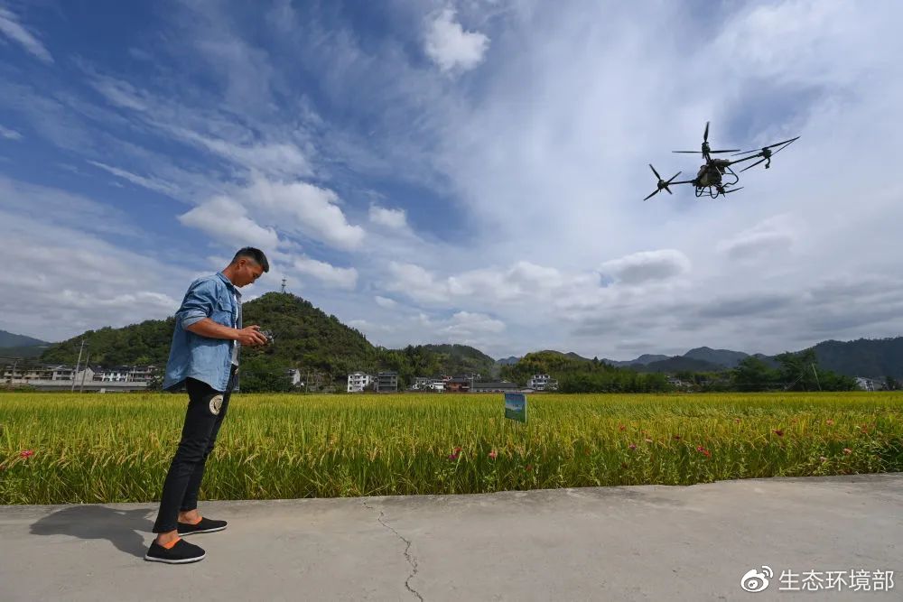 “千万工程”塑造美丽乡村,千万工程塑造美丽乡村心得体会