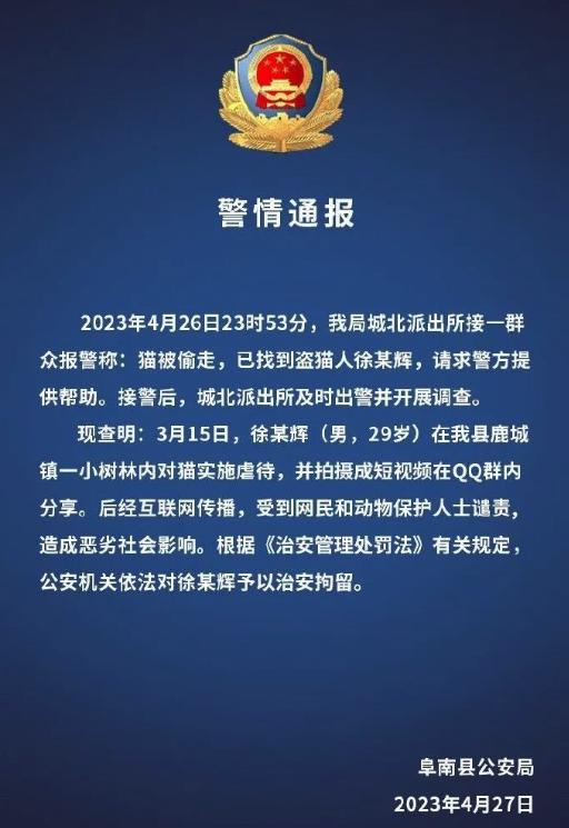 热搜上的网红，早该进监狱了