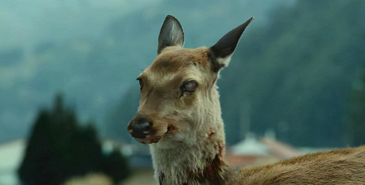 一旦感染100%致命，朊病毒究竟有多可怕？为何连人也会感染？