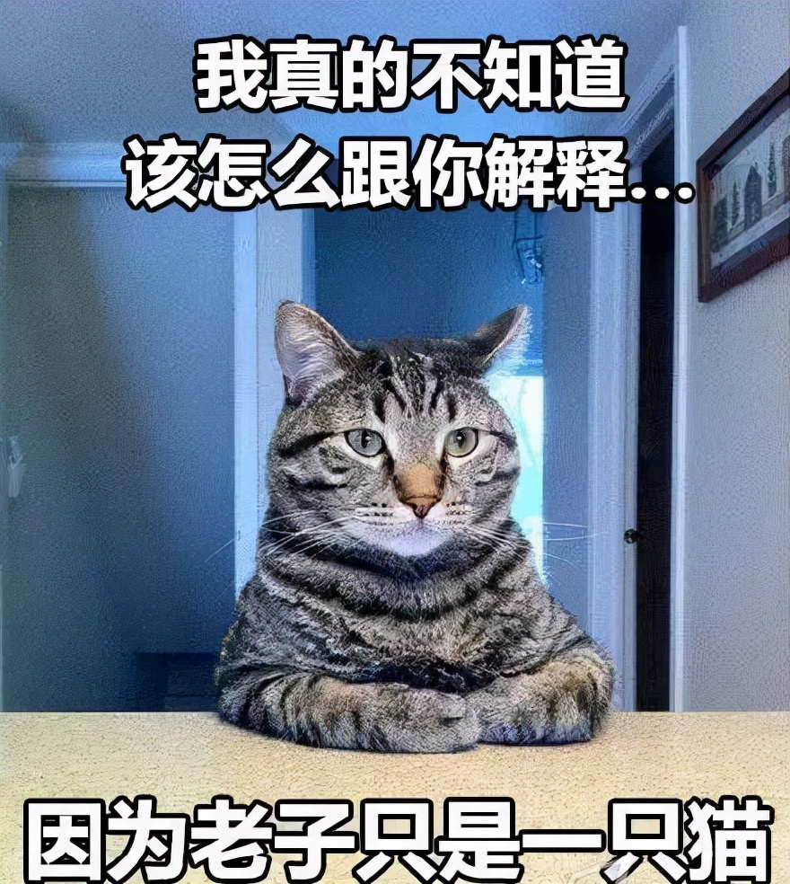 澳门赌业大亨周焯华发家史,周焯华和何鸿燊谁的实力大