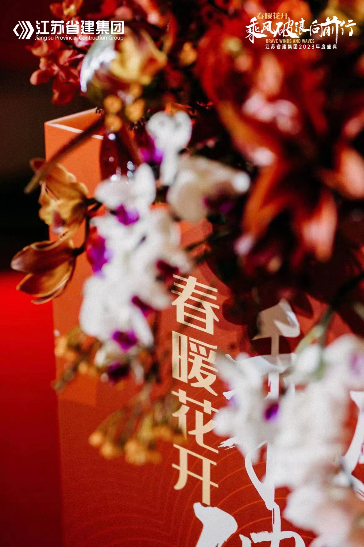 鏄ユ殩鑺卞紑涔橀鐮存氮,鏄ユ殩鑺卞紑鎵竼璧疯埅瑙嗛