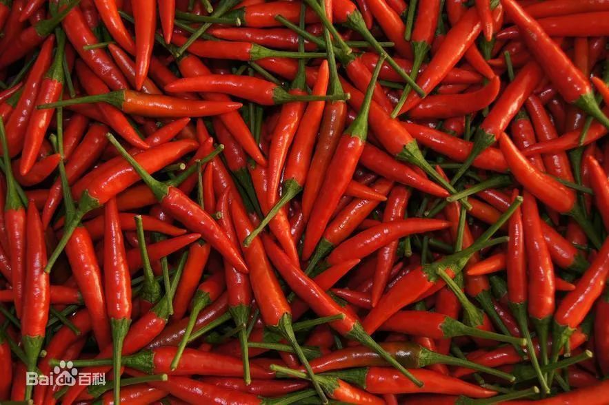 最辣的辣椒全球,全球超辣辣椒