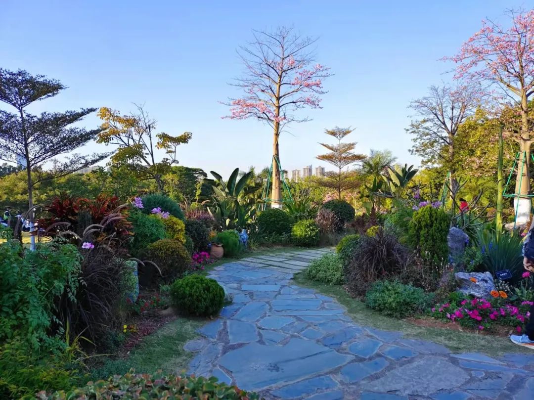 养花好物神器,花友必备神器