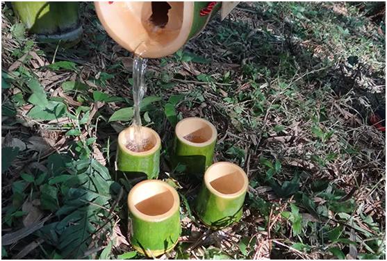 竹筒酒史上最大的骗局揭秘,真正的竹筒酒好喝吗