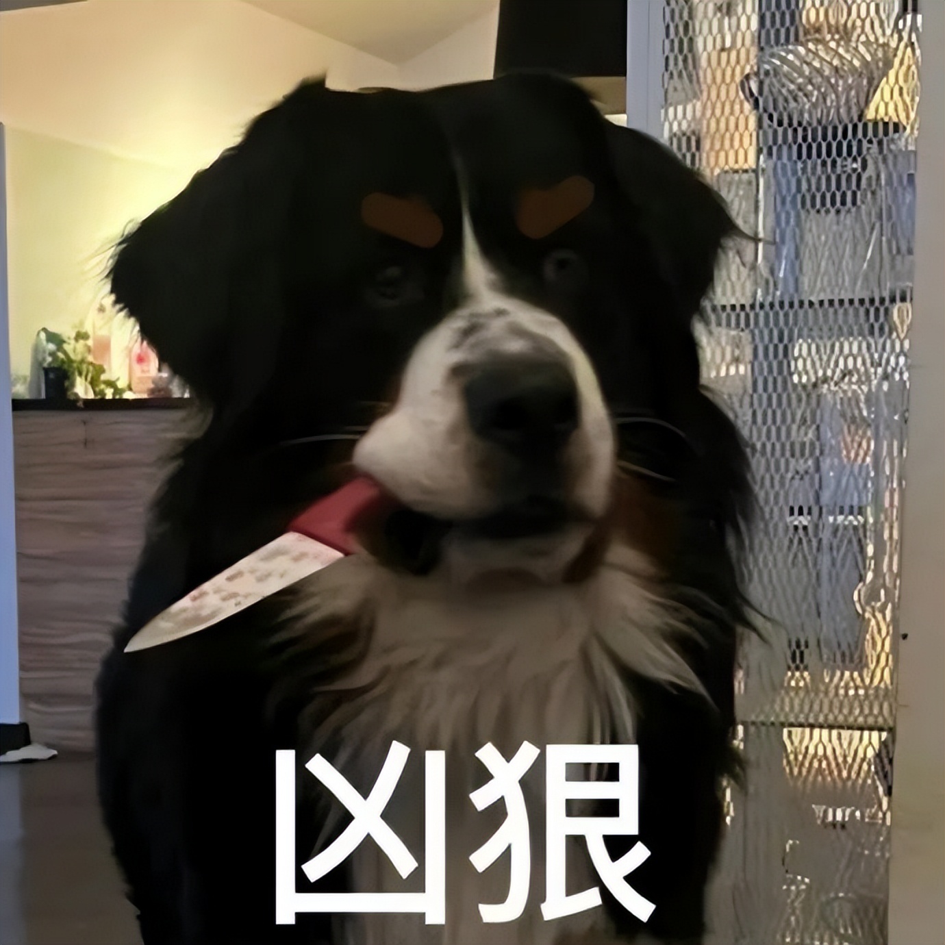 女厕的诡异之处,女厕所发现怪异男尸