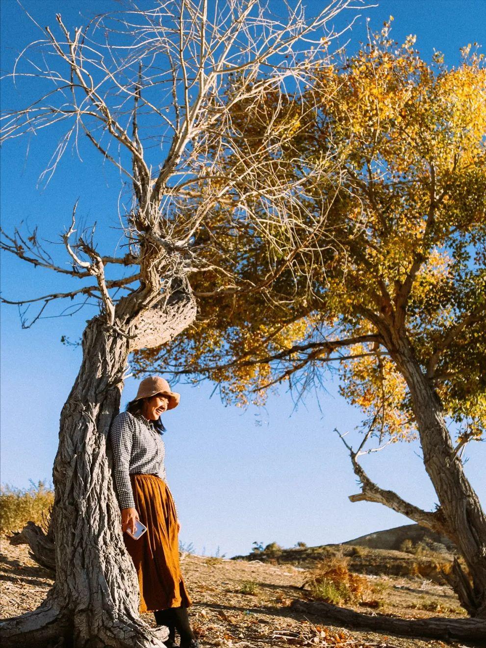秋季喀纳斯,喀纳斯之秋风景画