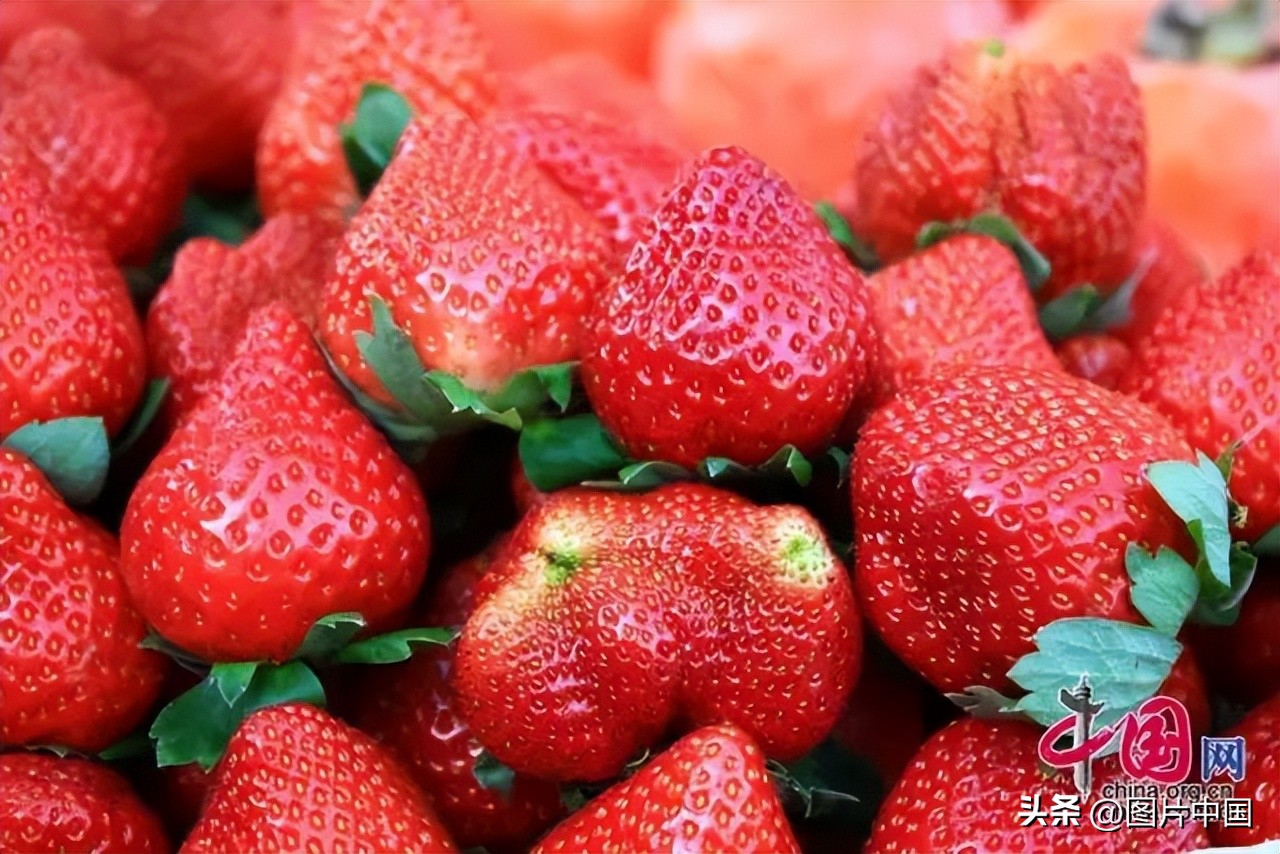 谷雨:春夏之交雨生百谷