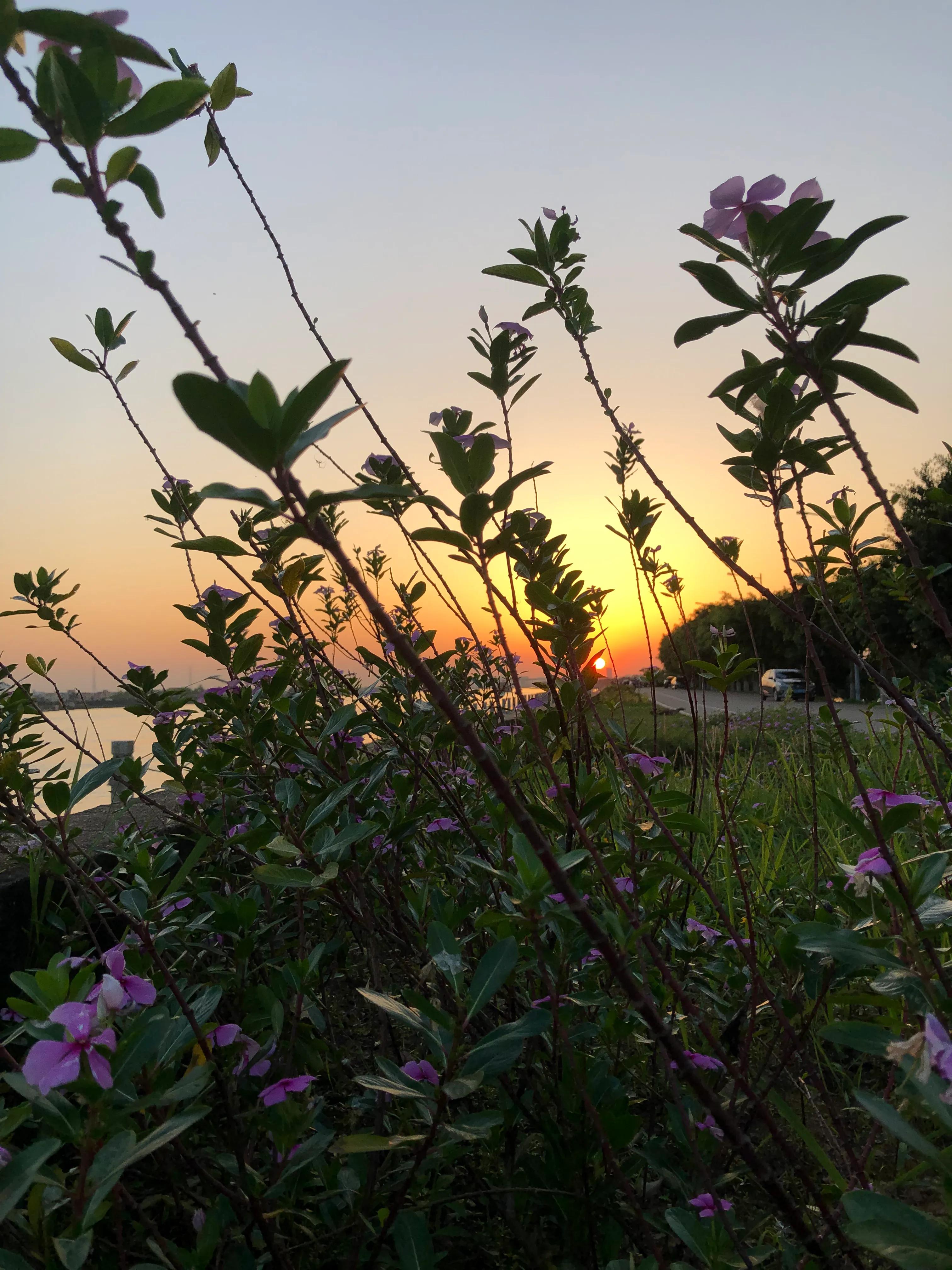 让创意落地,如何让你的创意更有黏性