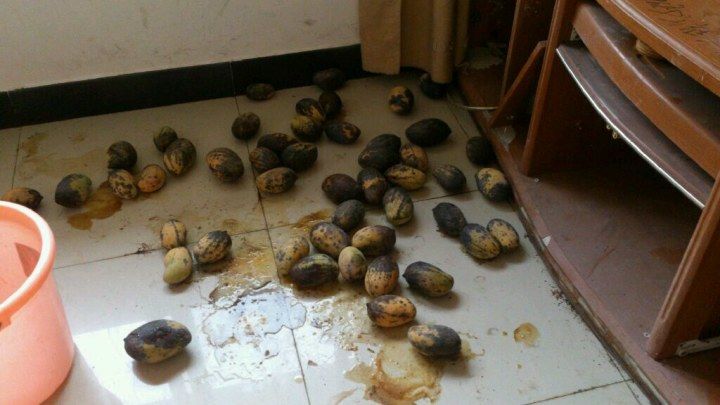 海关属于什么单位,广东海关公务员报考条件