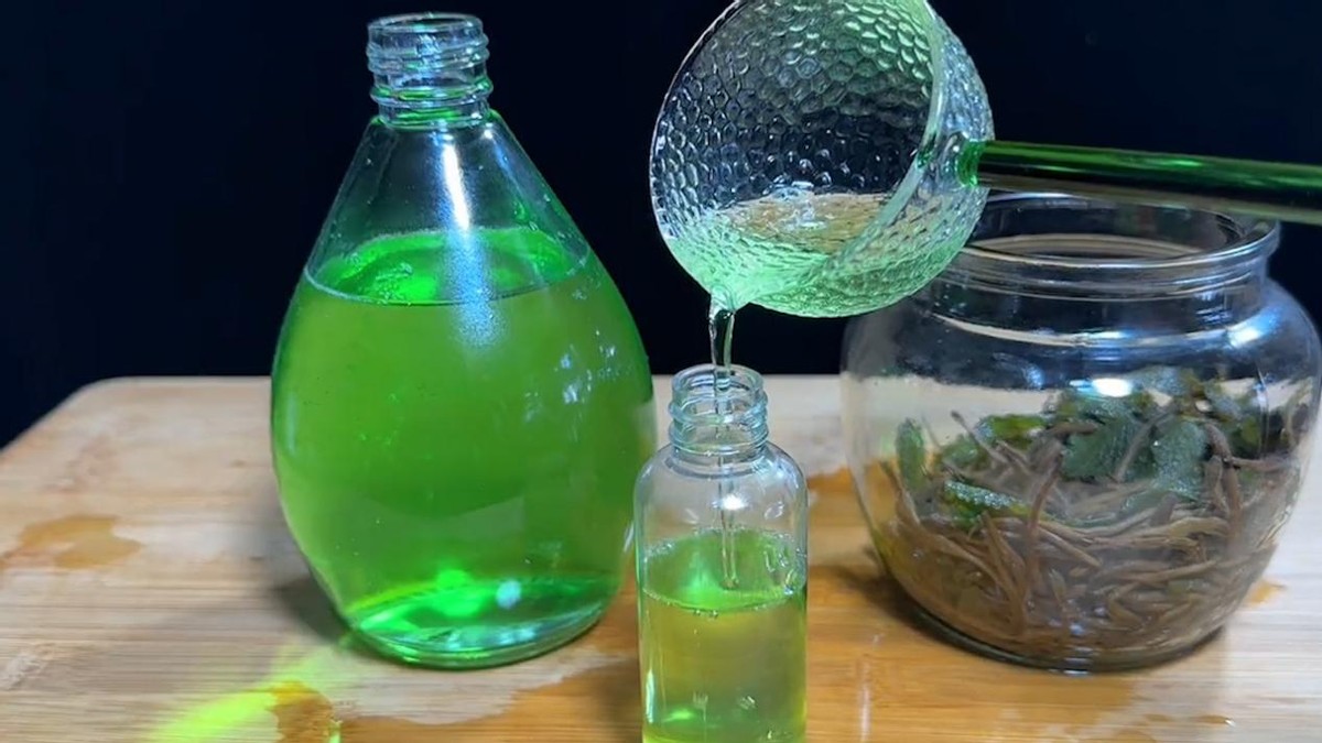 家里有灭蚊子最有效的方法,教你一招轻松解决蚊子