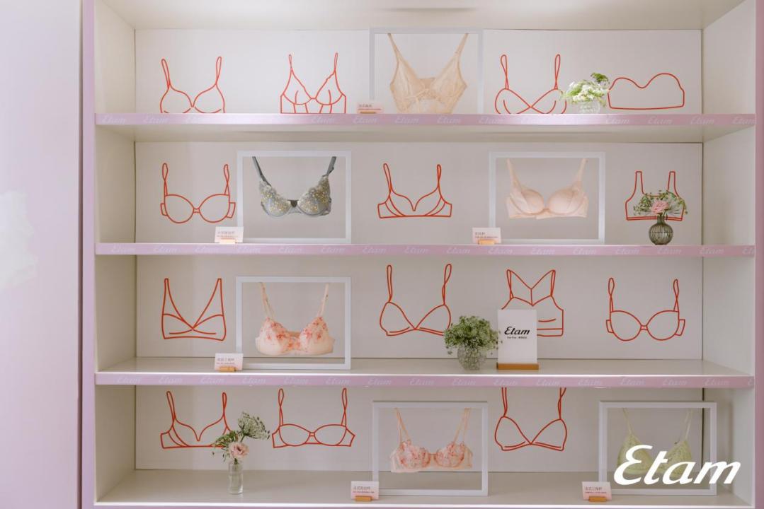 法国品牌内衣新款,etam内衣的价格