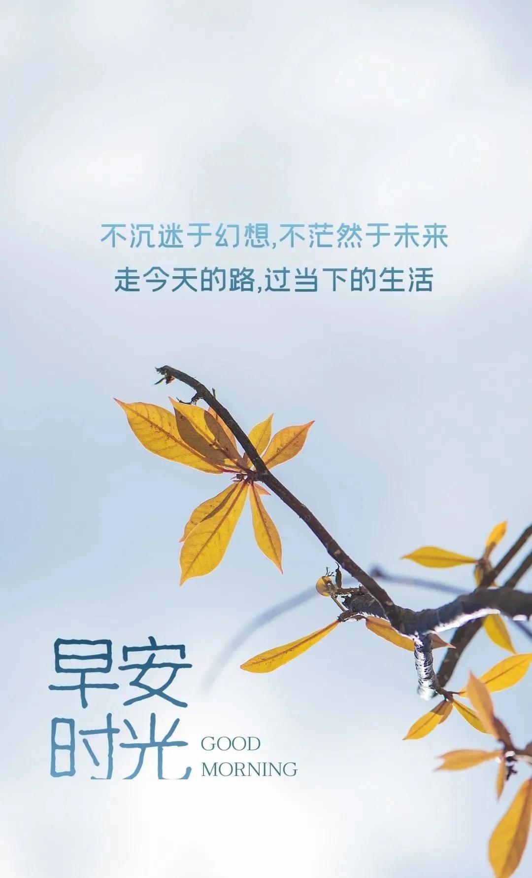 2022年最火的早安语录,早安心语最新正能量经典文案