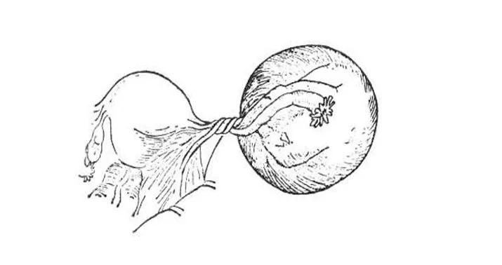 10岁女孩连续腹痛三个多月到医院,11岁女童腹痛晕厥