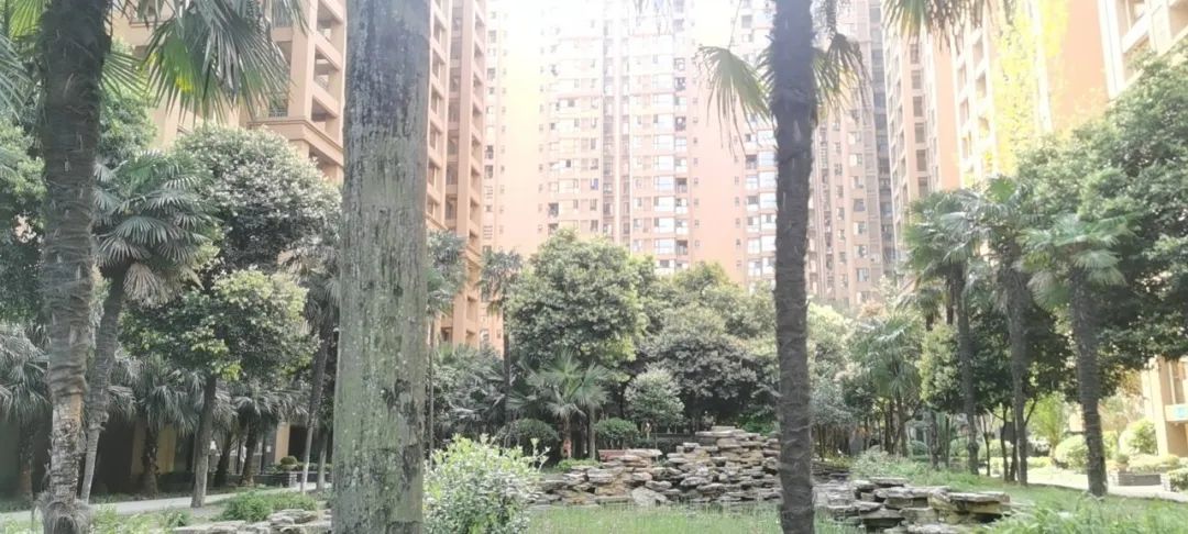 房价下跌最惨的5个城市名单,最惨房价