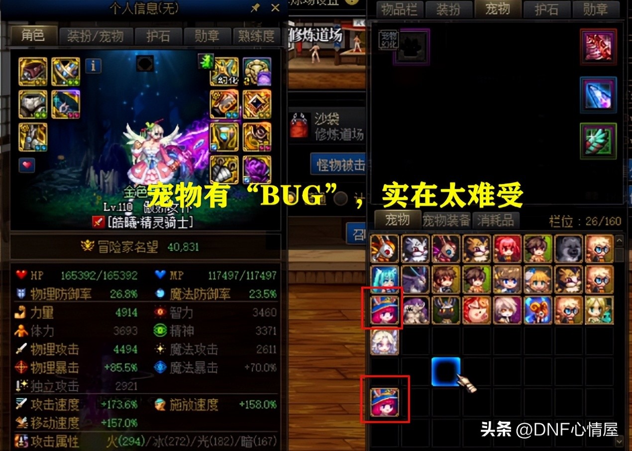 dnf10套春节礼包有什么惊喜,dnf10件春节套有宠物至尊宝珠吗