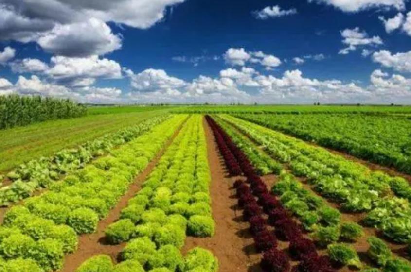 土壤污染防治法的污染担责原则,土壤污染防治法审议通过的时间