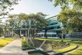 新加坡工作签证sp需要什么条件,新加坡工签申请条件有哪些