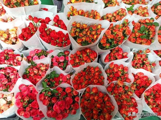 亚洲最大的鲜花市场招商,亚洲最大鲜花交易市场视频