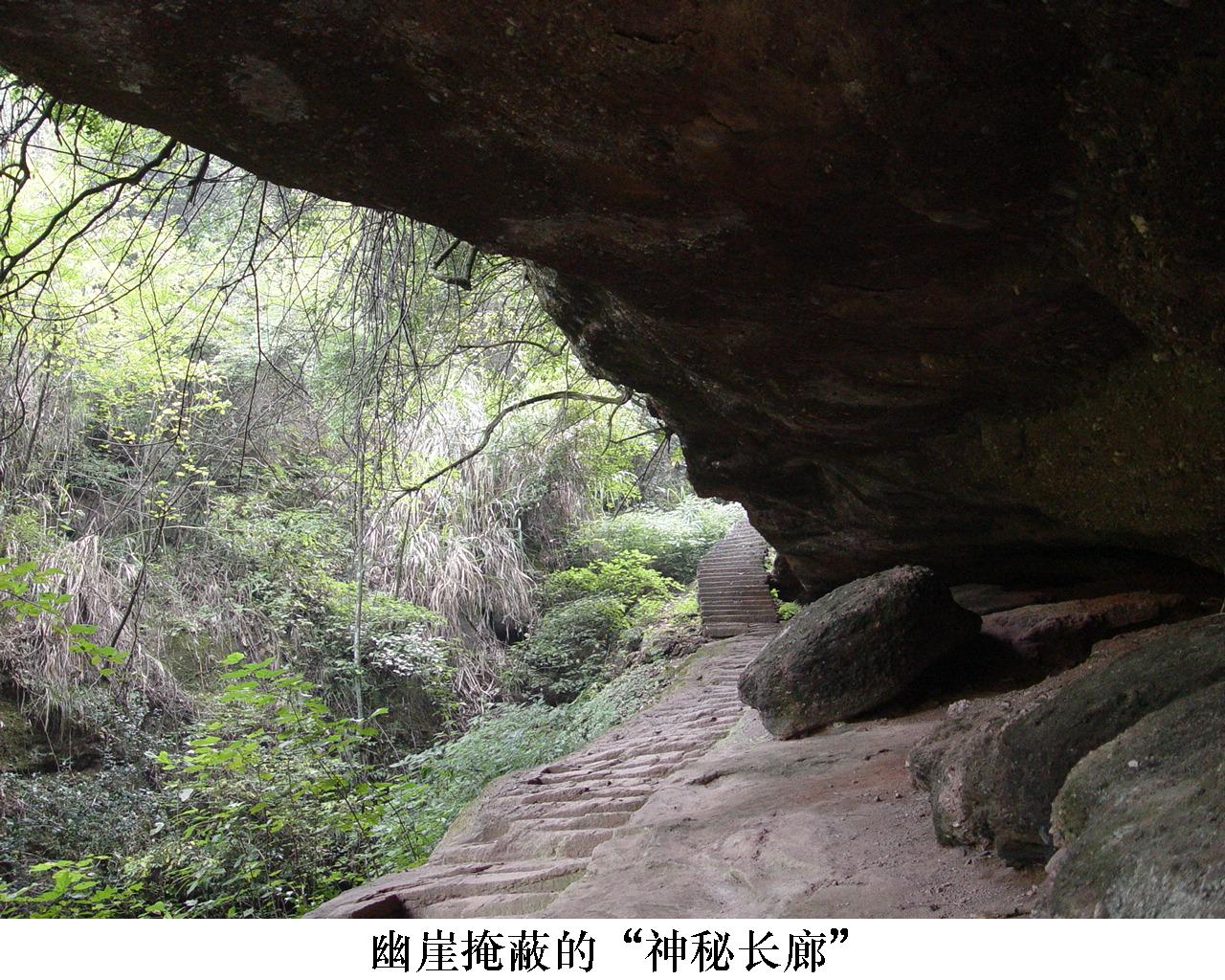 与龙虎山齐名的山,鹤鸣山和龙虎山谁是道源