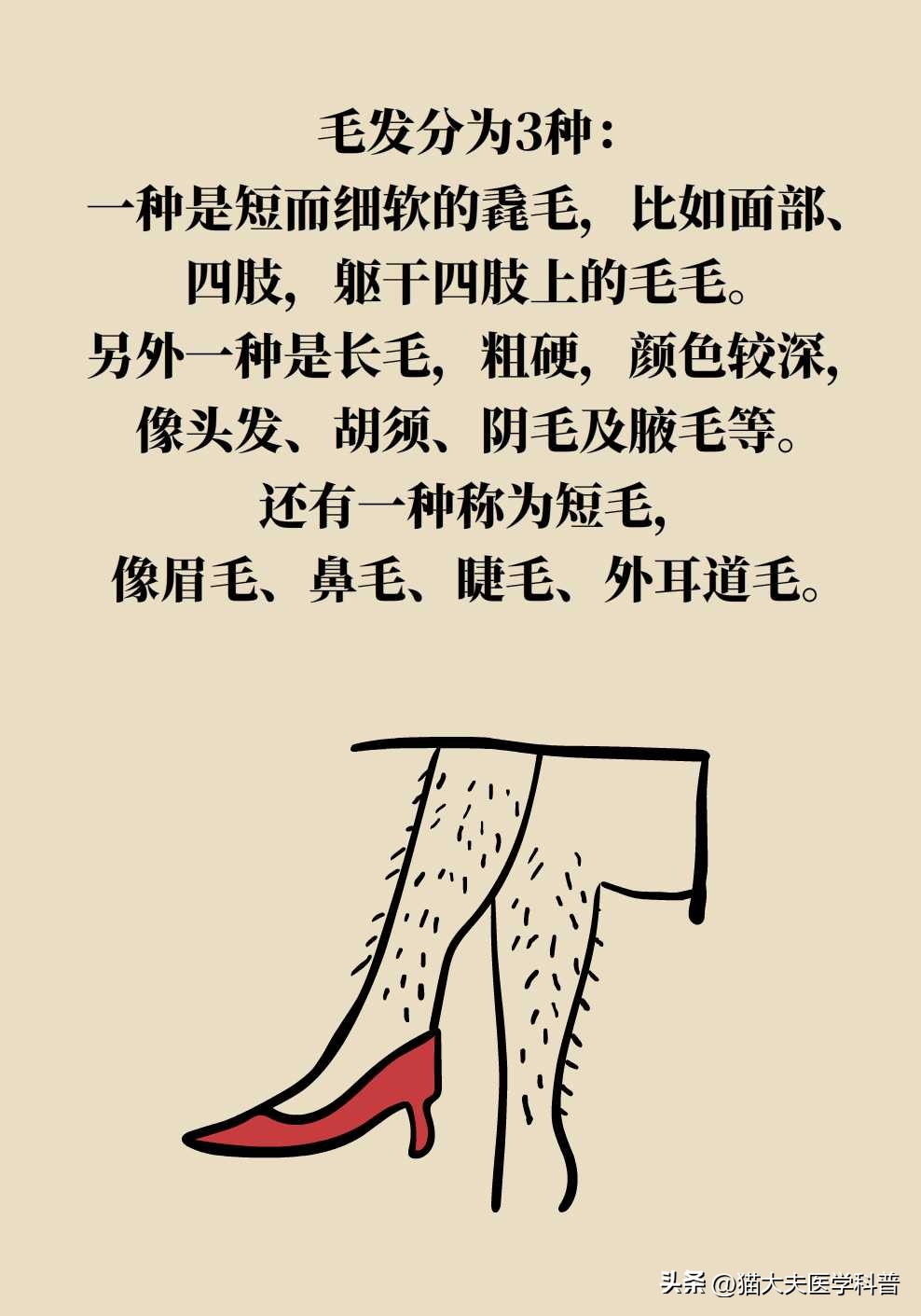 激光永久脱毛一般多少钱,永久激光脱毛是不是骗人的