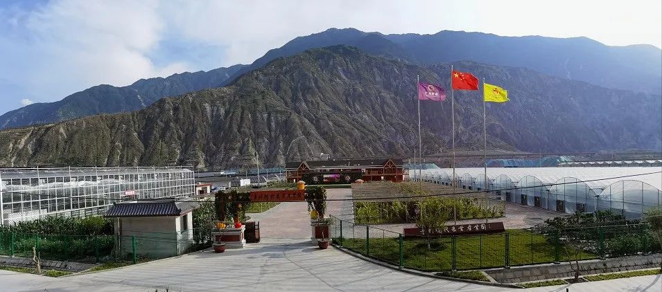 武都区石门镇青陇现代农业产业园,陇南武都青陇现代农业产业园