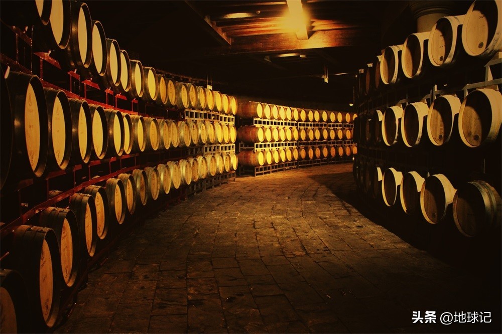 梵蒂冈军队有多少人,梵蒂冈军队有战斗力吗