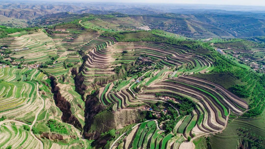 甘肃想吃美食去哪里旅游,甘肃啥地方